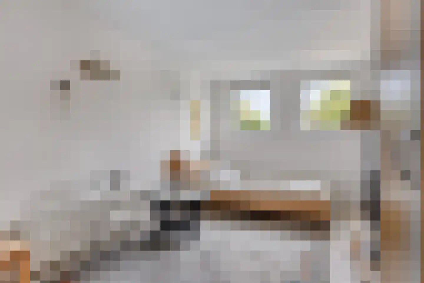 Ostrea 26 Kamperland thumbnail 4