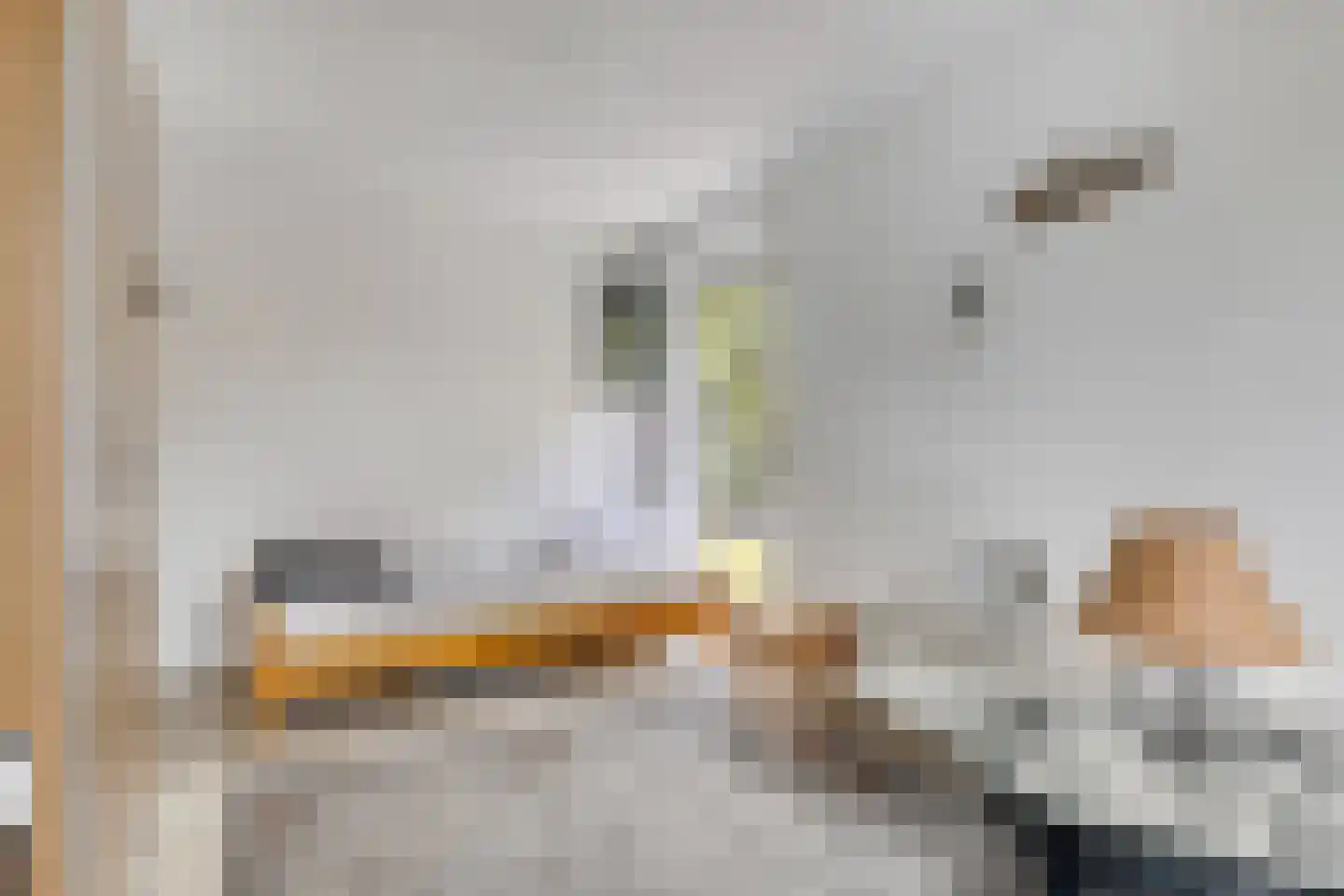 Ostrea 26 Kamperland thumbnail 5