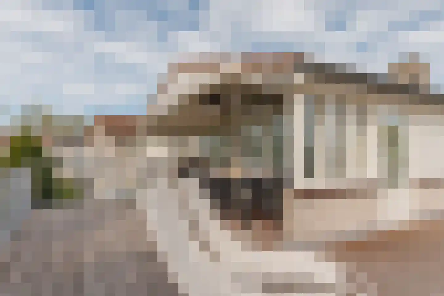 Ostrea 50 Kamperland thumbnail 22