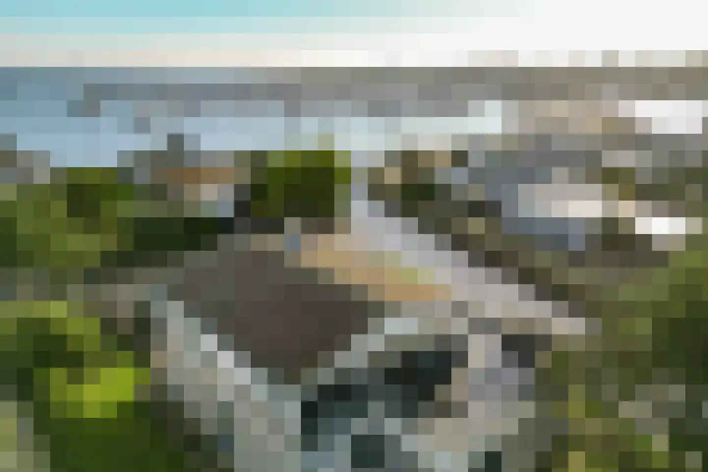 Ostrea 50 Kamperland thumbnail 42