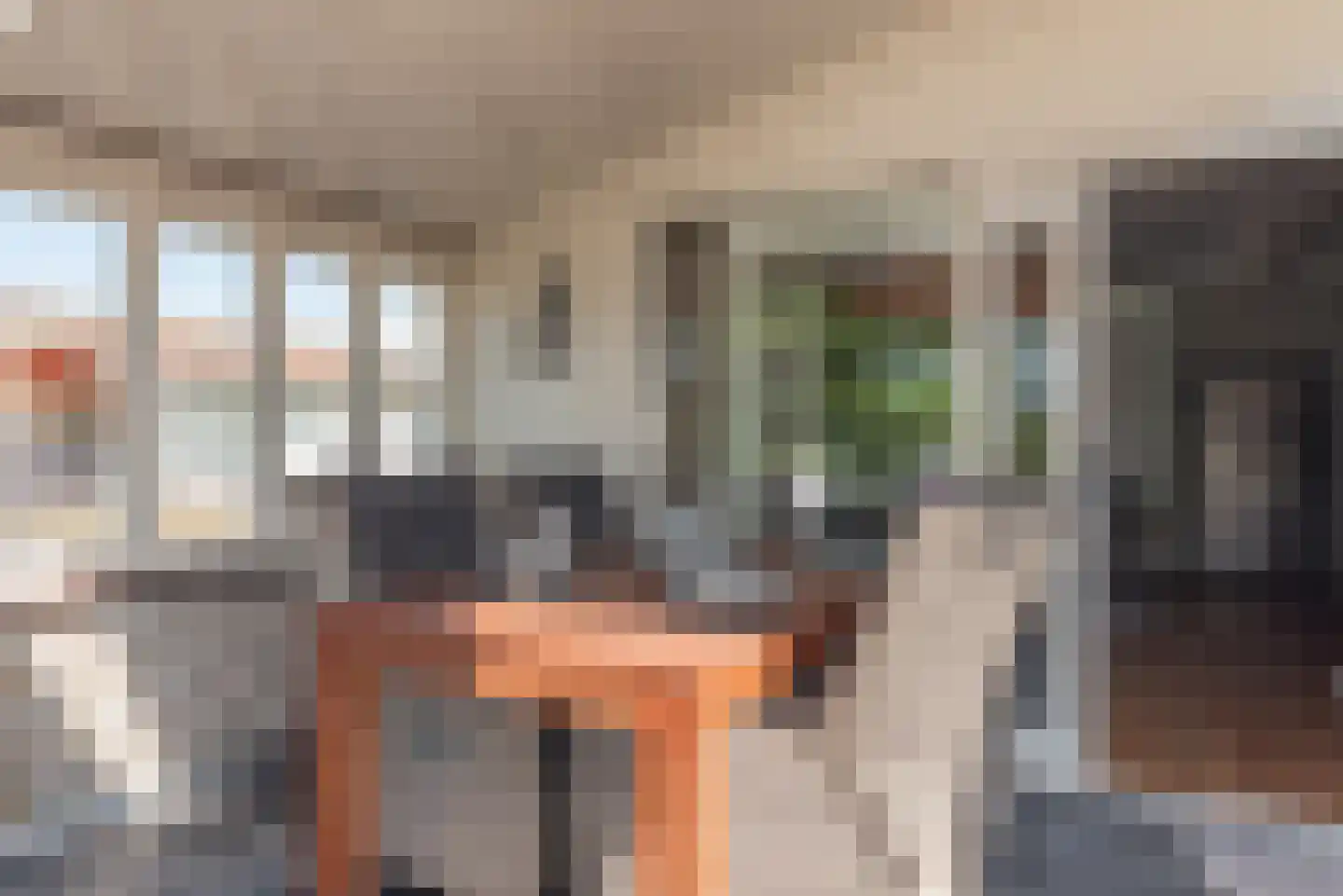 Ostrea 74 Kamperland thumbnail 30