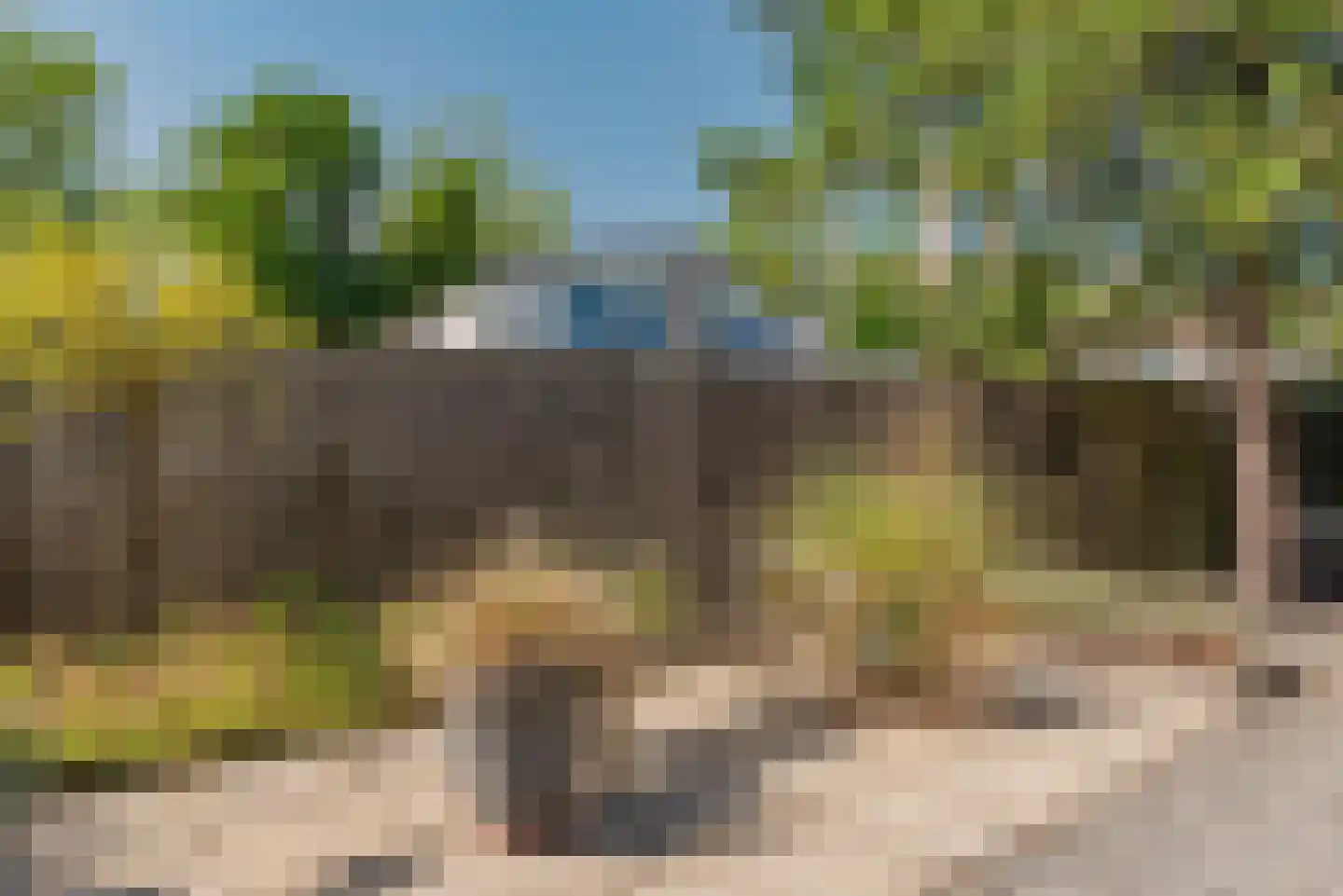 Ostrea 74 Kamperland thumbnail 35