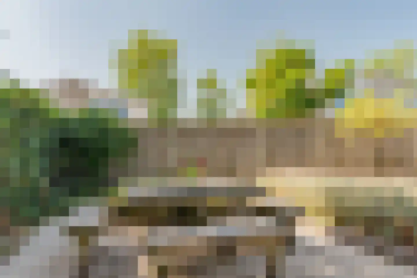 Ostrea 74 Kamperland thumbnail 36