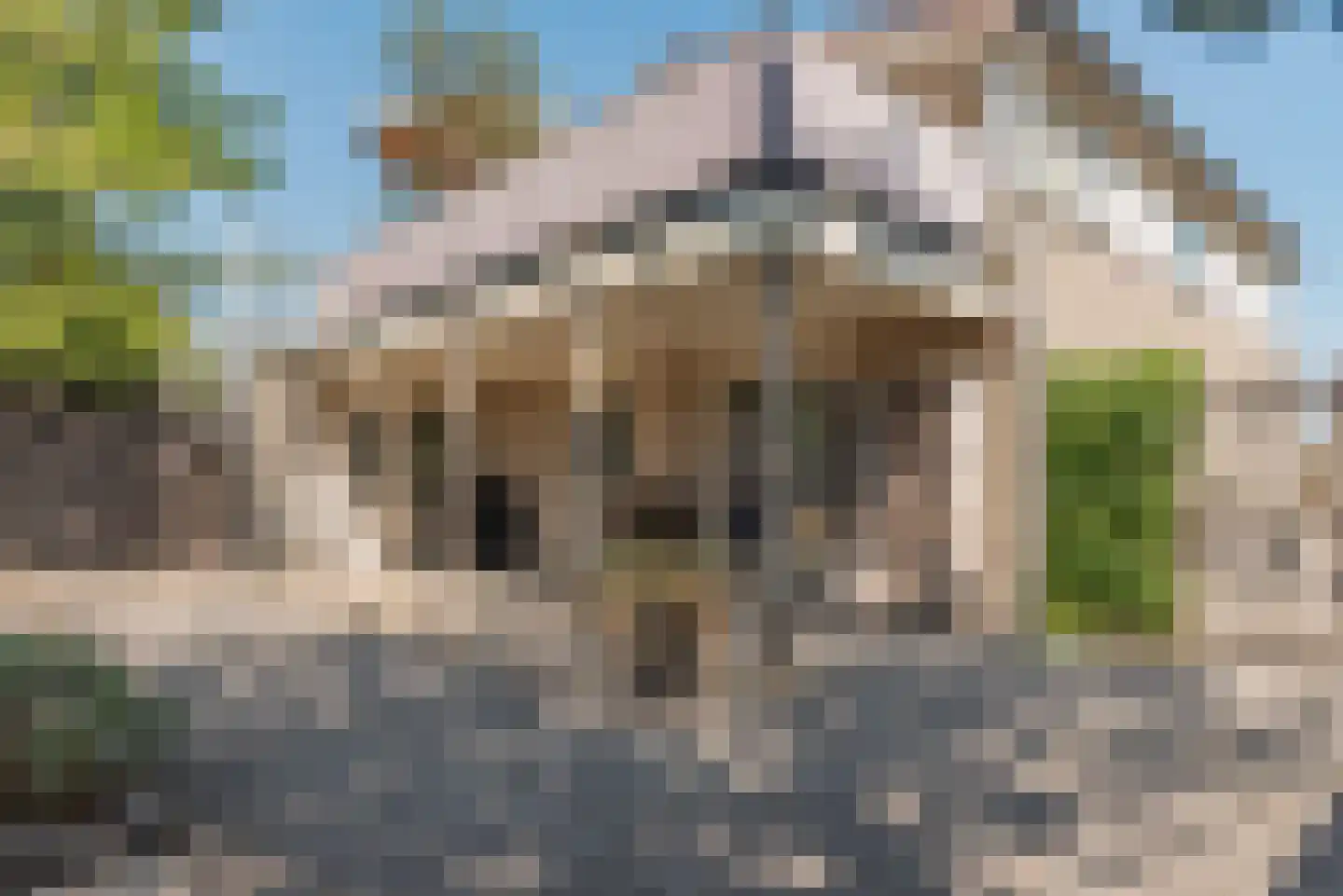 Ostrea 74 Kamperland thumbnail 38