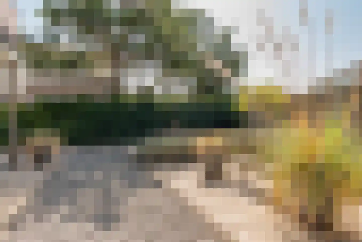 Ostrea 74 Kamperland thumbnail 41
