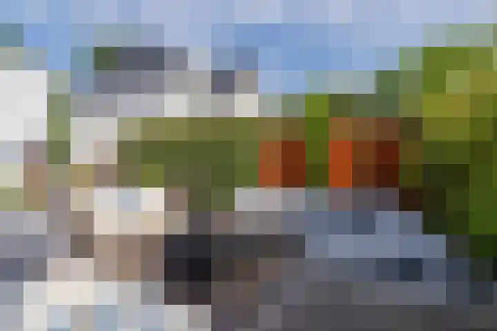 Oswald Wenckebachstraat 18 Noordwijk thumbnail 37