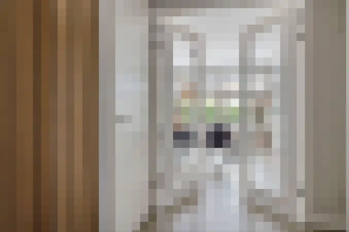 Oswald Wenckebachstraat 2 Noordwijk thumbnail 6