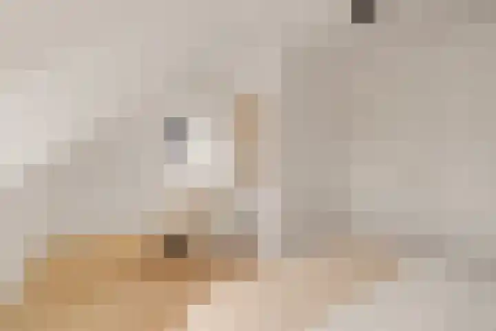 Oswald Wenckebachstraat 23 Noordwijk thumbnail 33