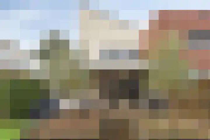 Oswaldusstraat 25 Zeddam thumbnail 26