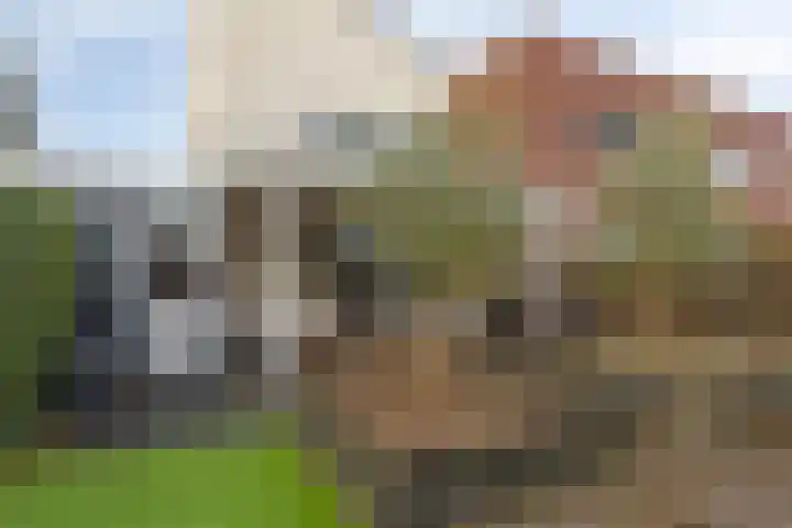 Oswaldusstraat 25 Zeddam thumbnail 27