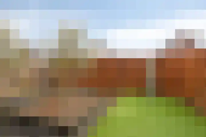 Oswaldusstraat 25 Zeddam thumbnail 30