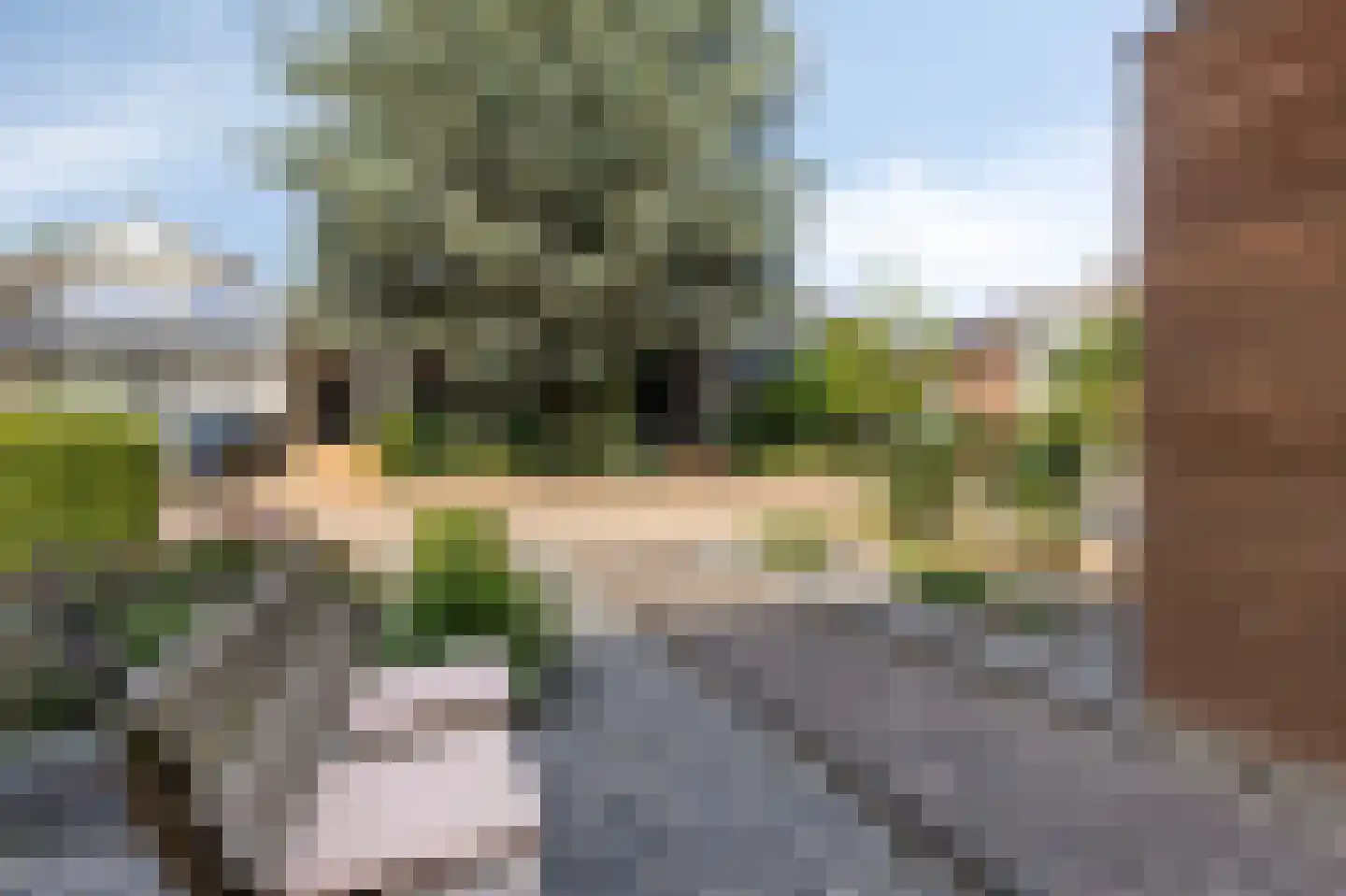 Oswaldusstraat 29 Zeddam thumbnail 12