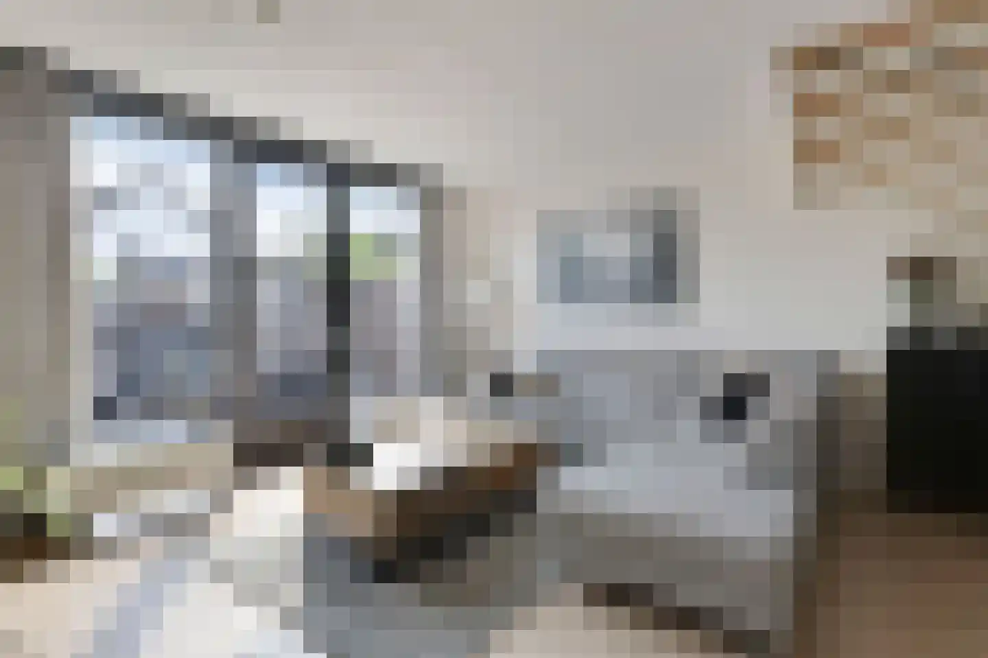 Oswaldusstraat 29 Zeddam thumbnail 22