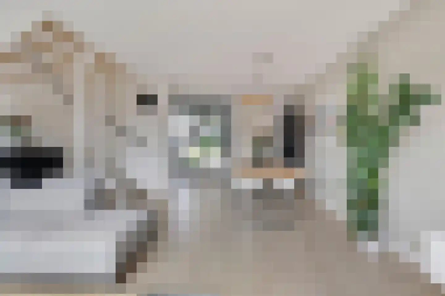 Oswaldusstraat 29 Zeddam thumbnail 24