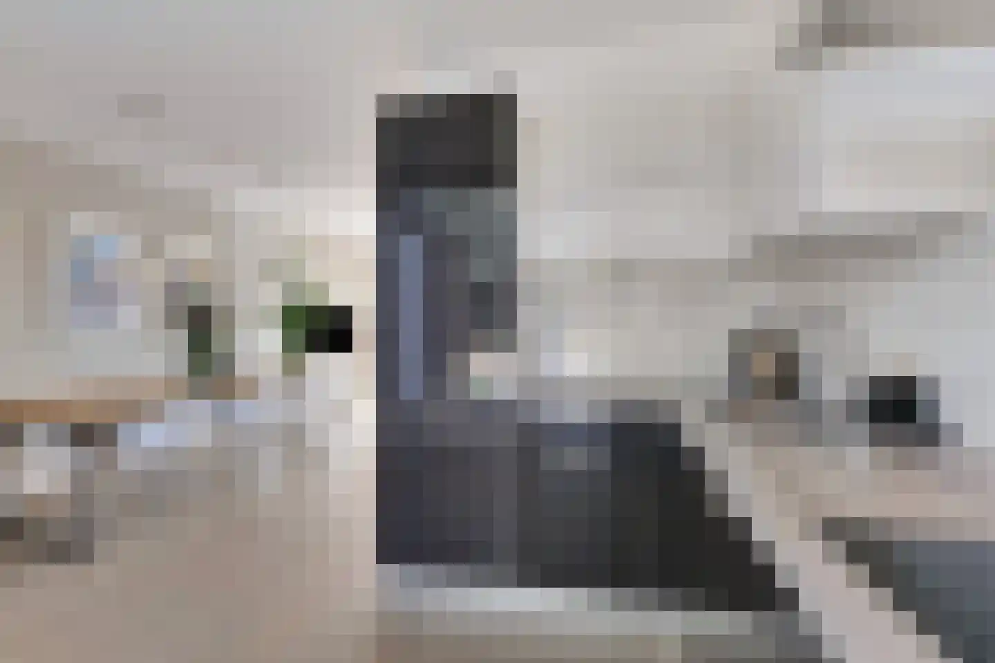 Oswaldusstraat 29 Zeddam foto 3