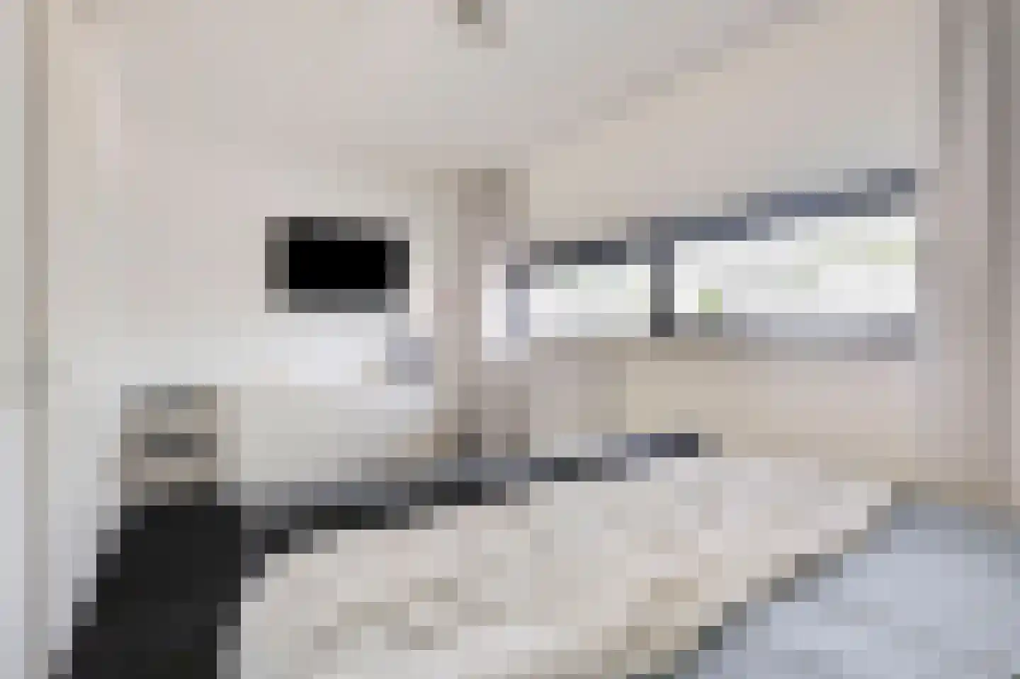 Oswaldusstraat 29 Zeddam thumbnail 35