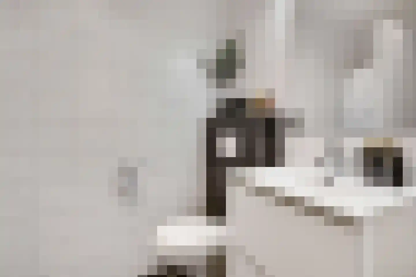 Oswaldusstraat 29 Zeddam thumbnail 40