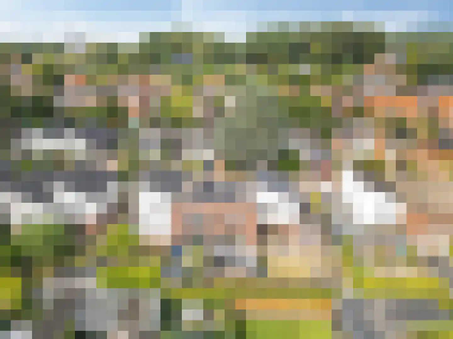 Oswaldusstraat 29 Zeddam thumbnail 6