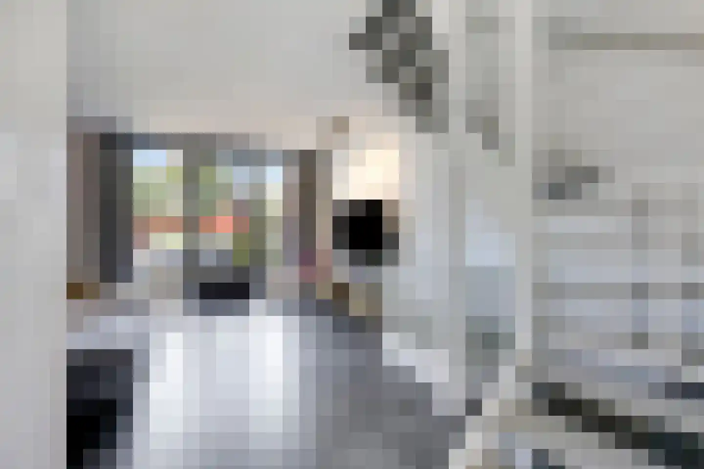 Oswaldusstraat 7 Zeddam thumbnail 18