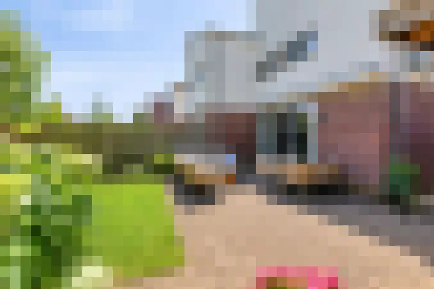 Oswaldusstraat 7 Zeddam thumbnail 44