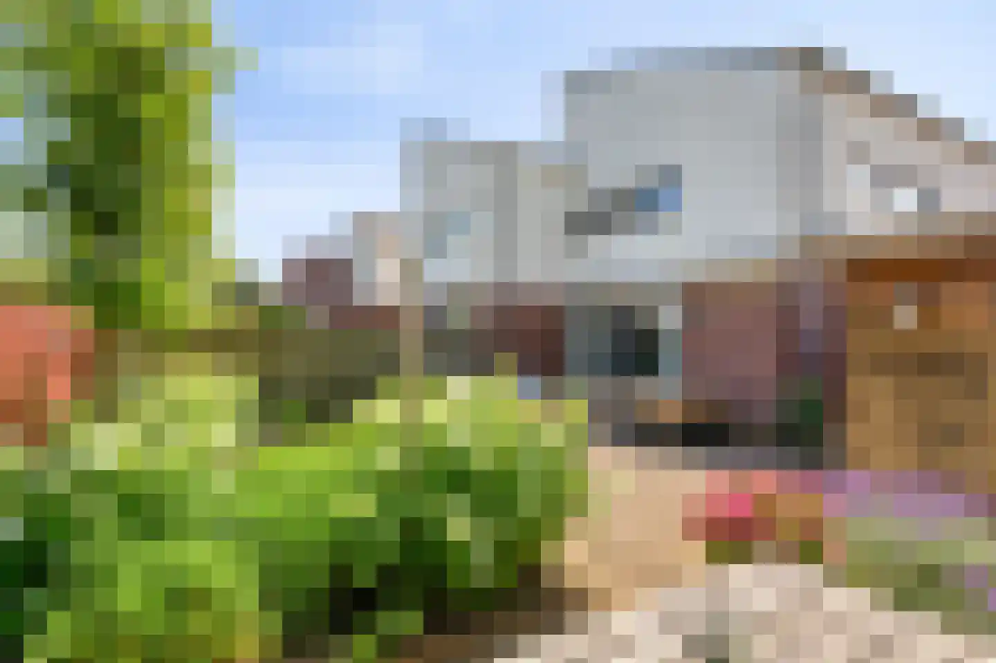 Oswaldusstraat 7 Zeddam thumbnail 46