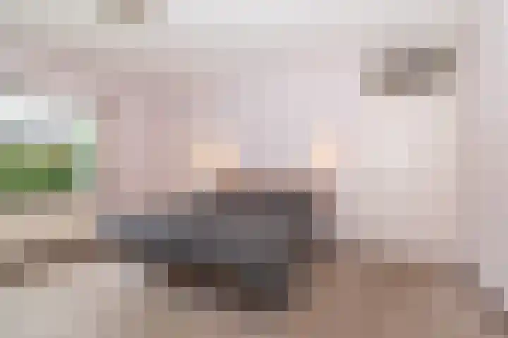 Osylaan 15 Zoetermeer thumbnail 14