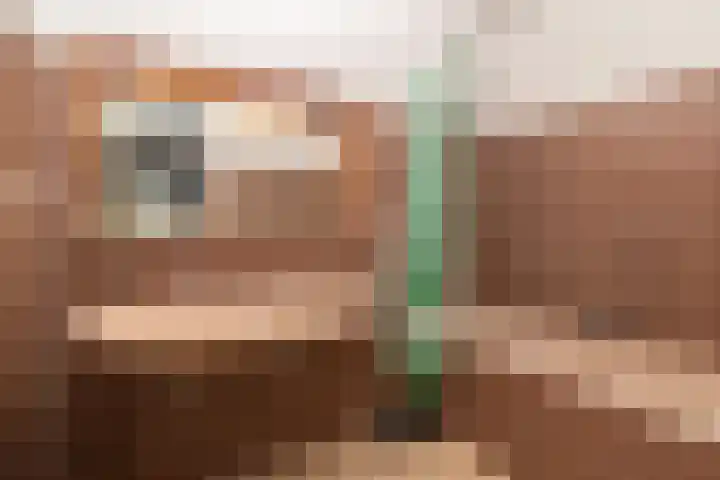 Osylaan 15 Zoetermeer thumbnail 16