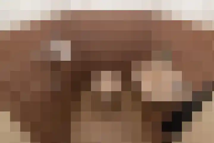 Osylaan 15 Zoetermeer thumbnail 18