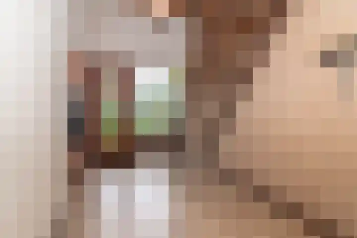 Osylaan 15 Zoetermeer thumbnail 20