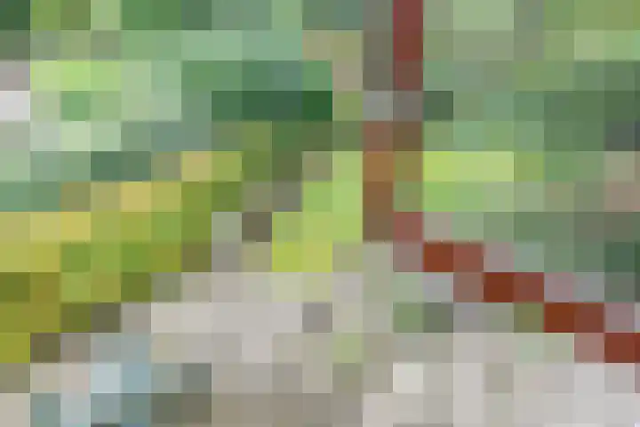 Osylaan 15 Zoetermeer thumbnail 27