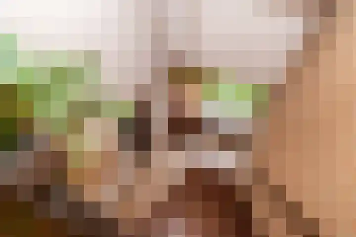 Osylaan 15 Zoetermeer thumbnail 33