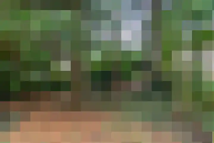 Osylaan 15 Zoetermeer thumbnail 37