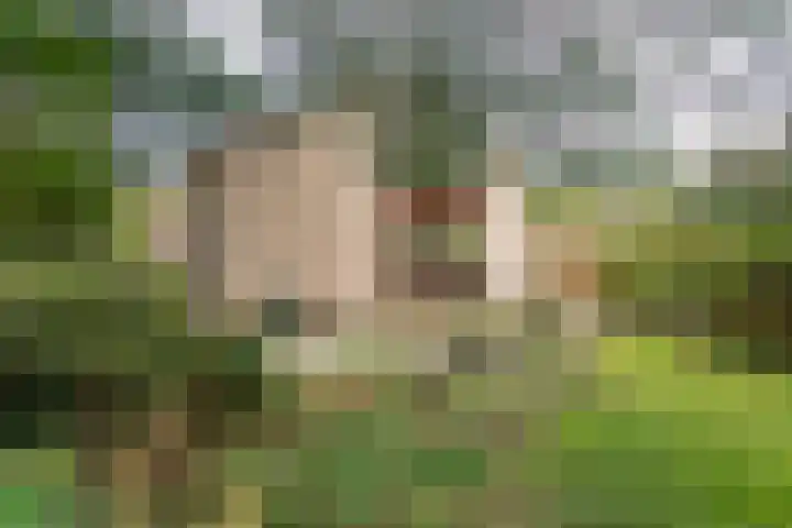 Osylaan 15 Zoetermeer thumbnail 38