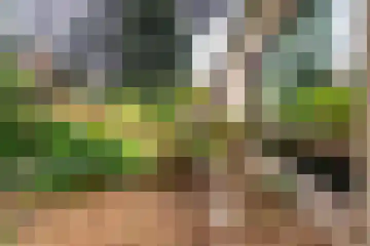 Osylaan 15 Zoetermeer thumbnail 39