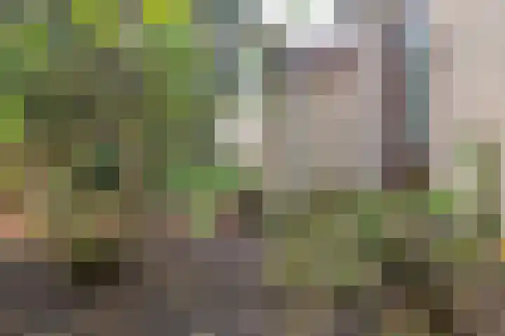 Osylaan 15 Zoetermeer thumbnail 40