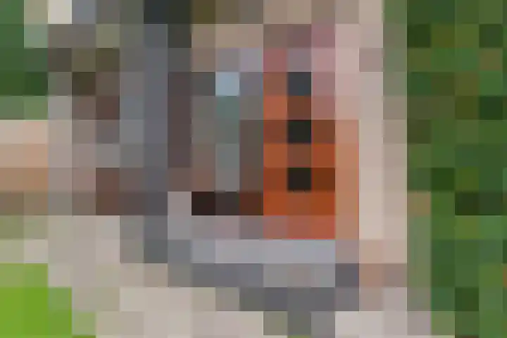 Osylaan 15 Zoetermeer thumbnail 43