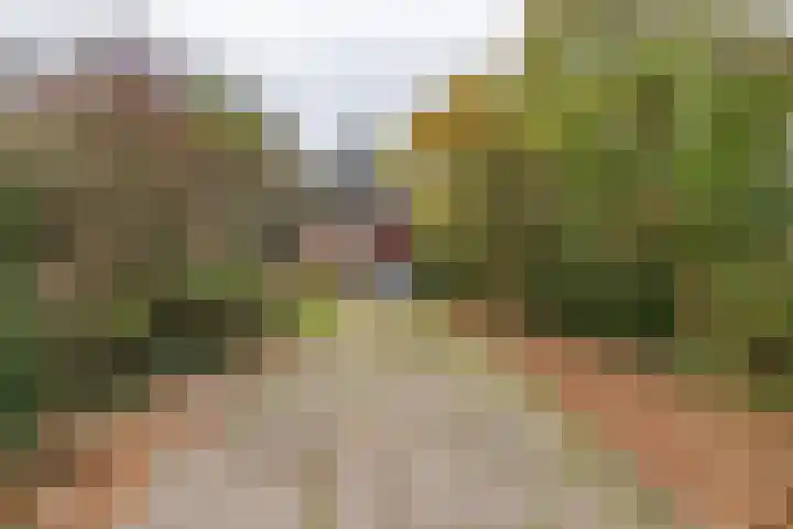 Osylaan 15 Zoetermeer thumbnail 46