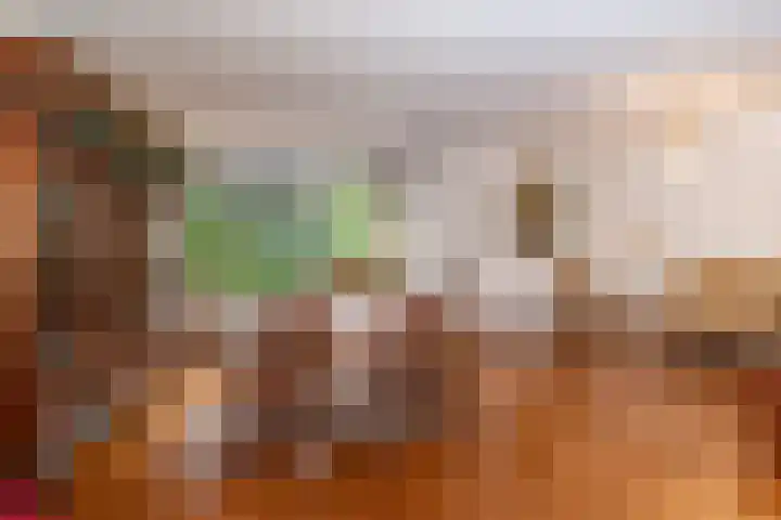 Osylaan 15 Zoetermeer thumbnail 7