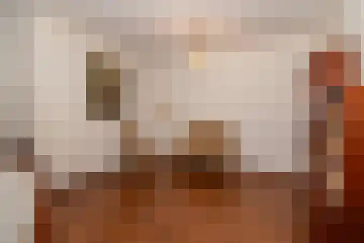Osylaan 15 Zoetermeer thumbnail 8