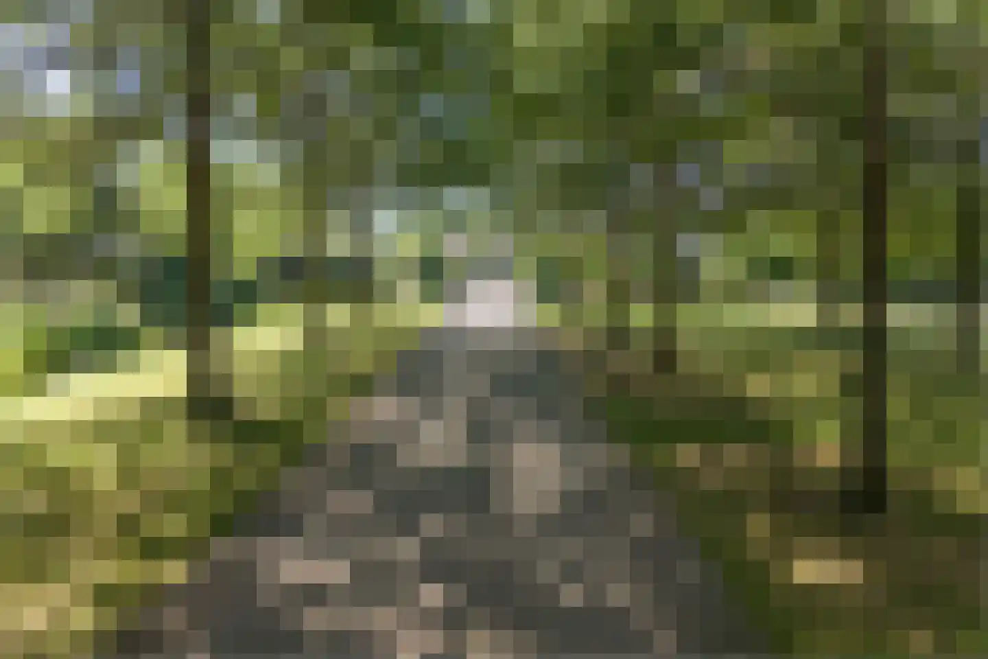 Otelaarseweg 21 B Barneveld thumbnail 105