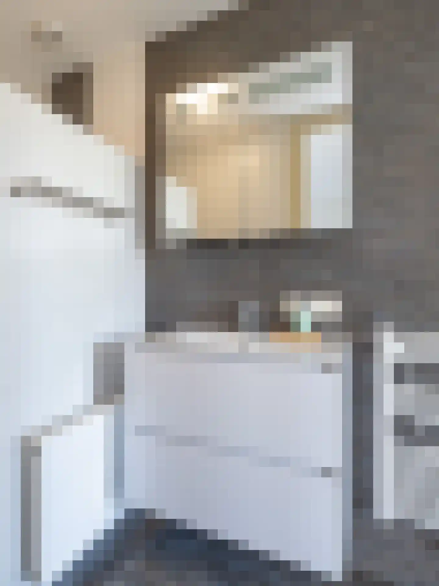 Otelaarseweg 21 B Barneveld thumbnail 38