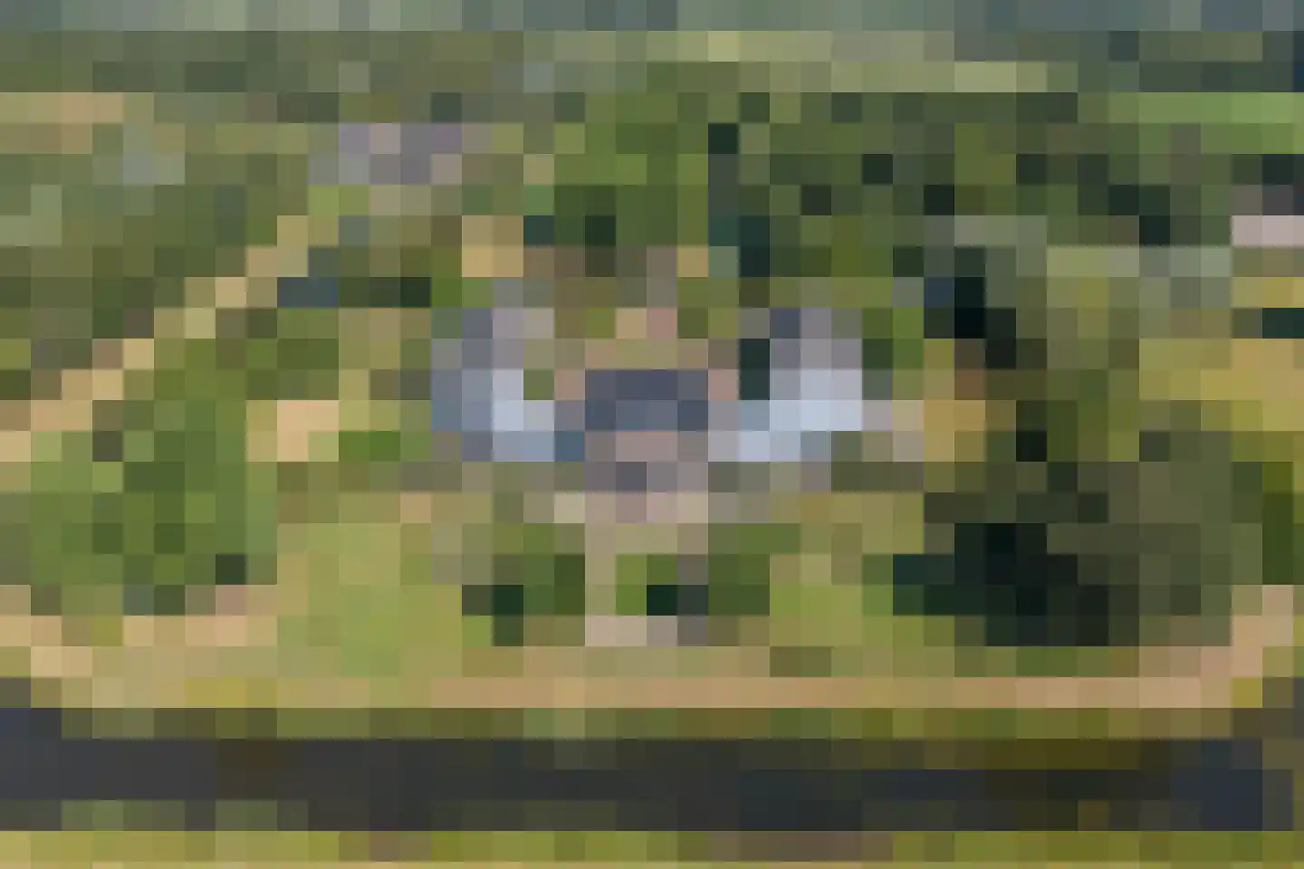 Otelaarseweg 21 B Barneveld thumbnail 59