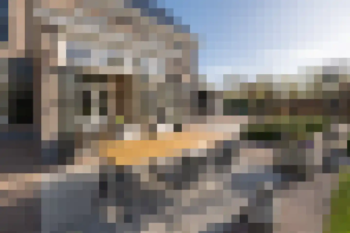 Otelaarseweg 21 B Barneveld thumbnail 78