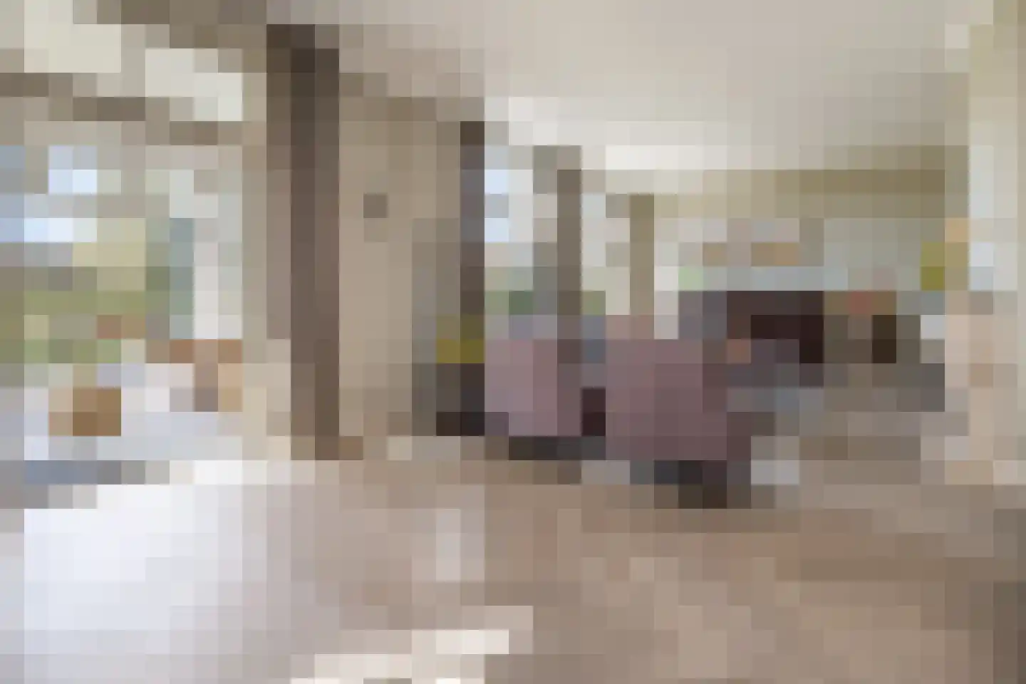 Otelaarseweg 21 B Barneveld thumbnail 8