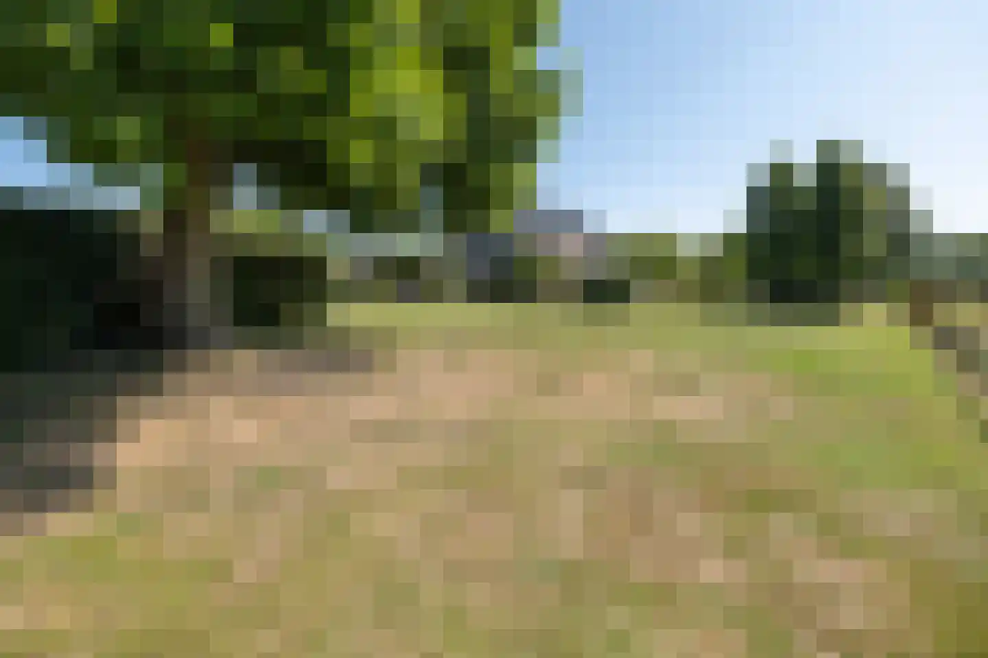 Otelaarseweg 21 B Barneveld thumbnail 81