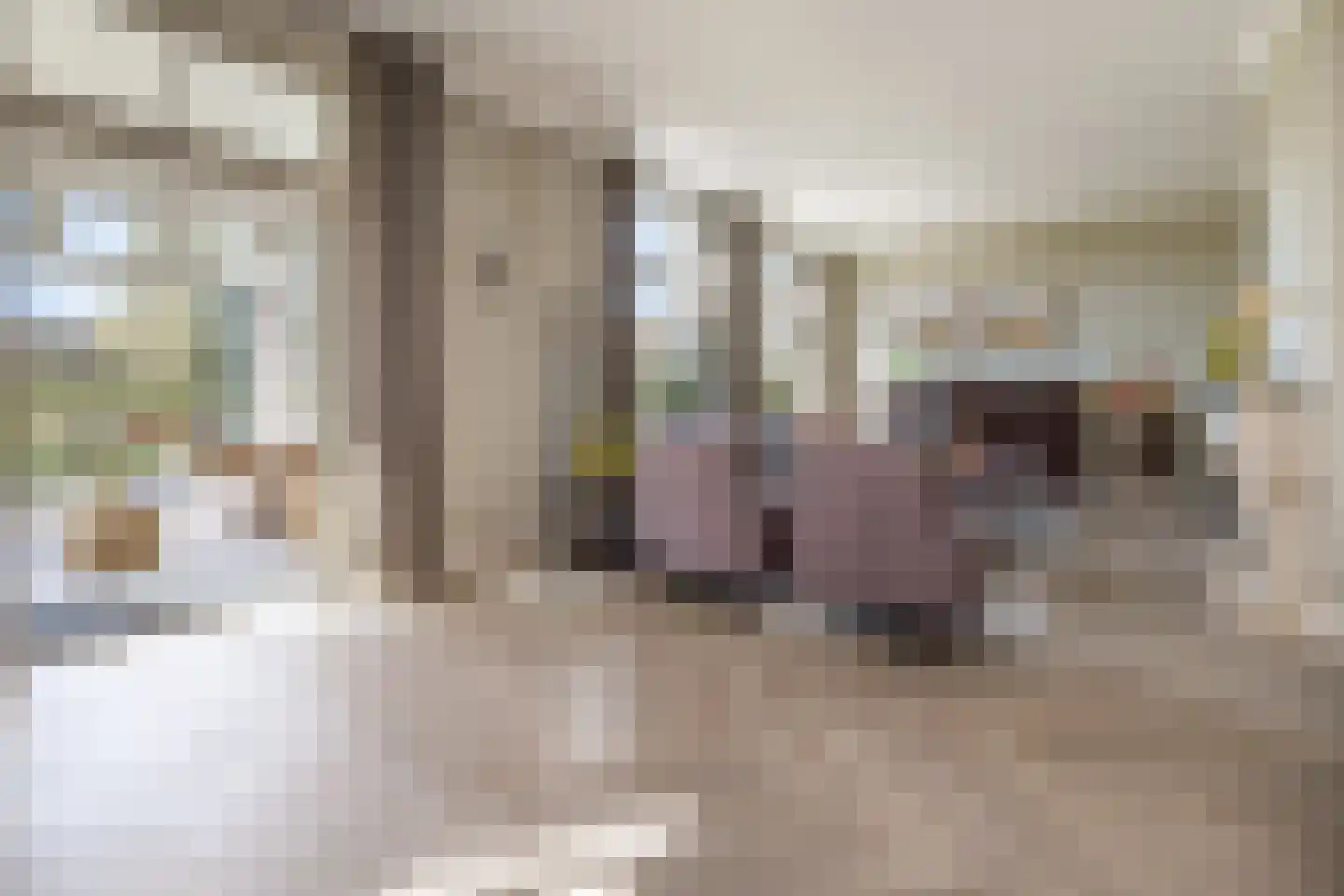Otelaarseweg 21 B Barneveld thumbnail 9