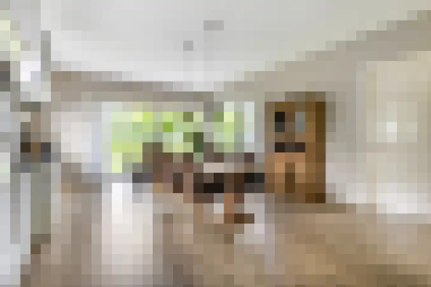 Otelaarseweg 25 Barneveld thumbnail 12