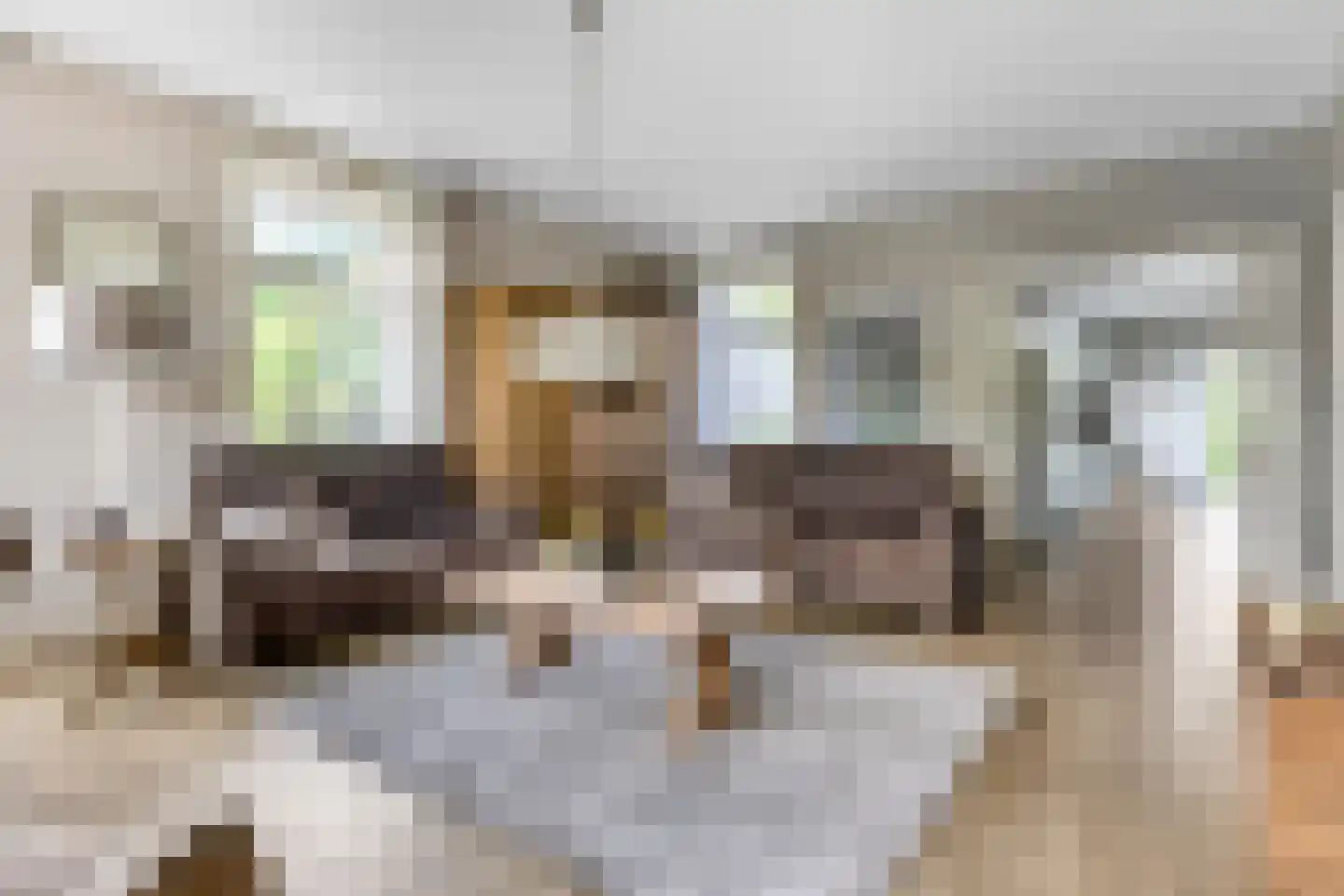Otelaarseweg 25 Barneveld thumbnail 16
