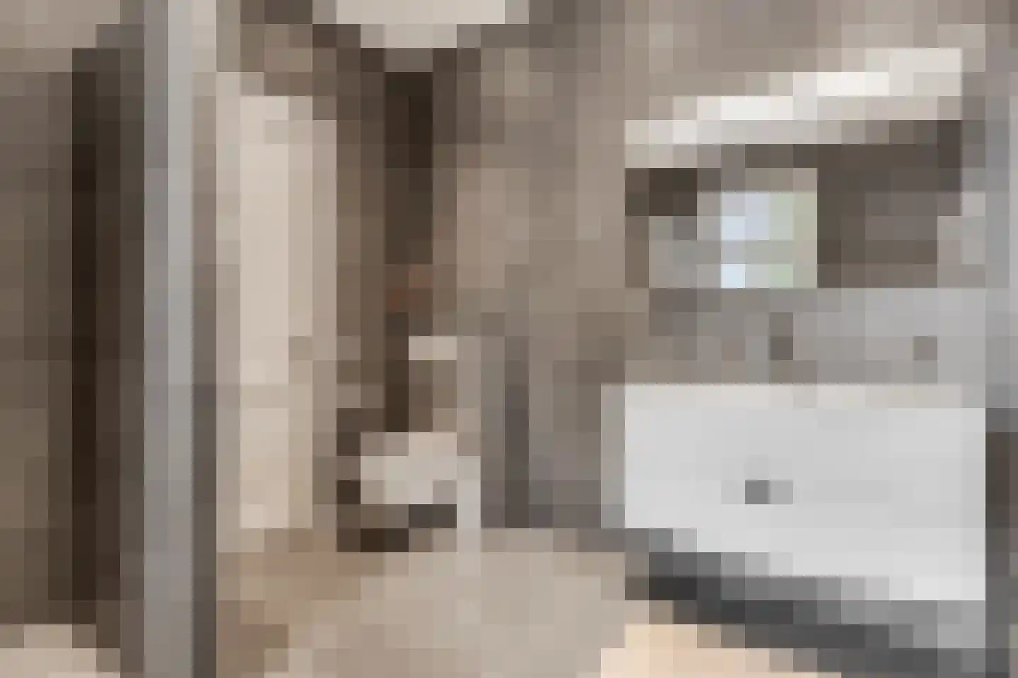 Otelaarseweg 25 Barneveld thumbnail 19