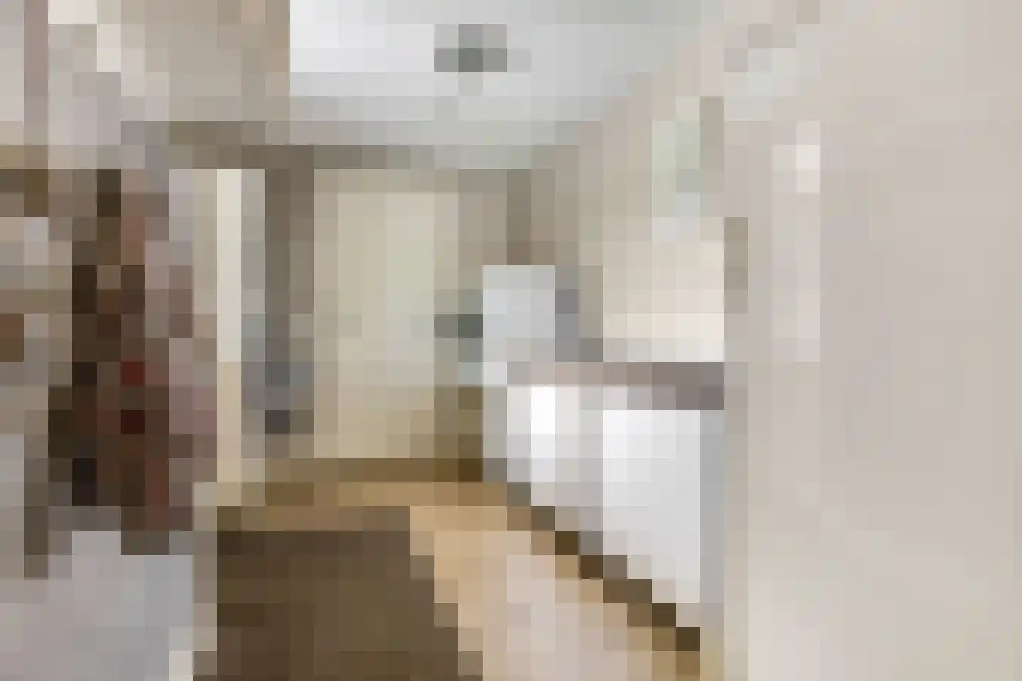Otelaarseweg 25 Barneveld thumbnail 22